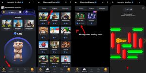 کلید همستر 16 آذر 1403