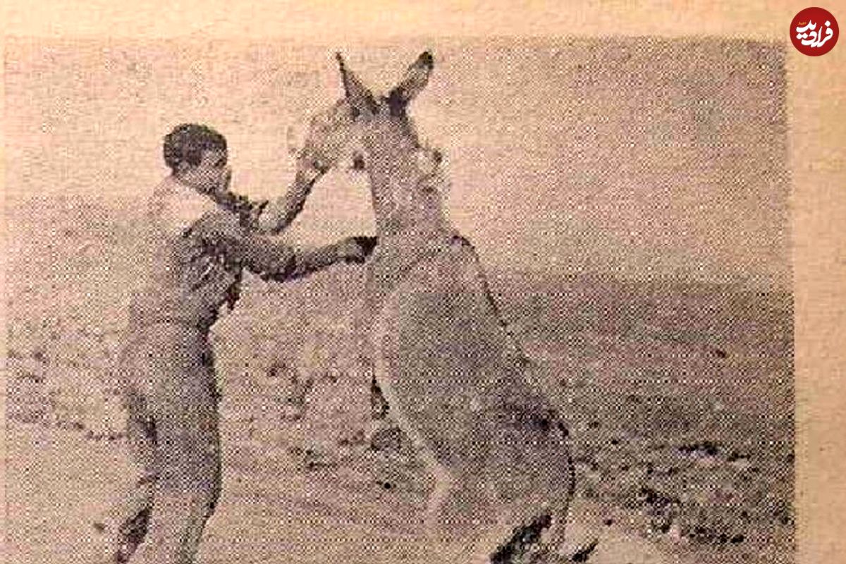 اصغر خرکش پیدا شد