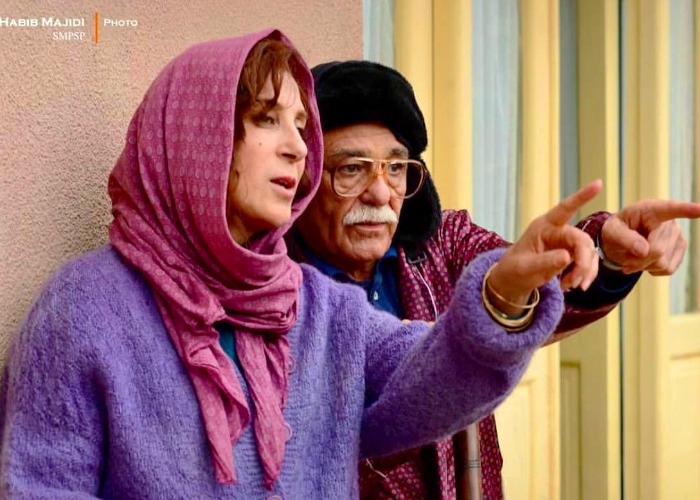 رضا بابک در بنفشه آفریقایی رضا بابک در بنفشه آفریقایی