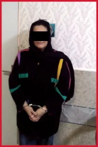 شگرد عجیب زن و شوهر برای دستبرد به ویلاها و خانههای اجارهای