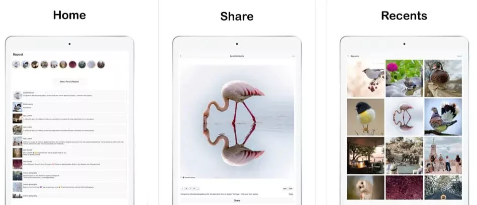 با این 3 اپلیکیشن ویدیو و عکس&zwnj;های اینستاگرام را روی آیفون دانلود کنید