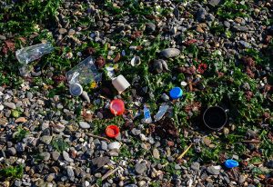 آلودگی شدید خلیج ازمیر