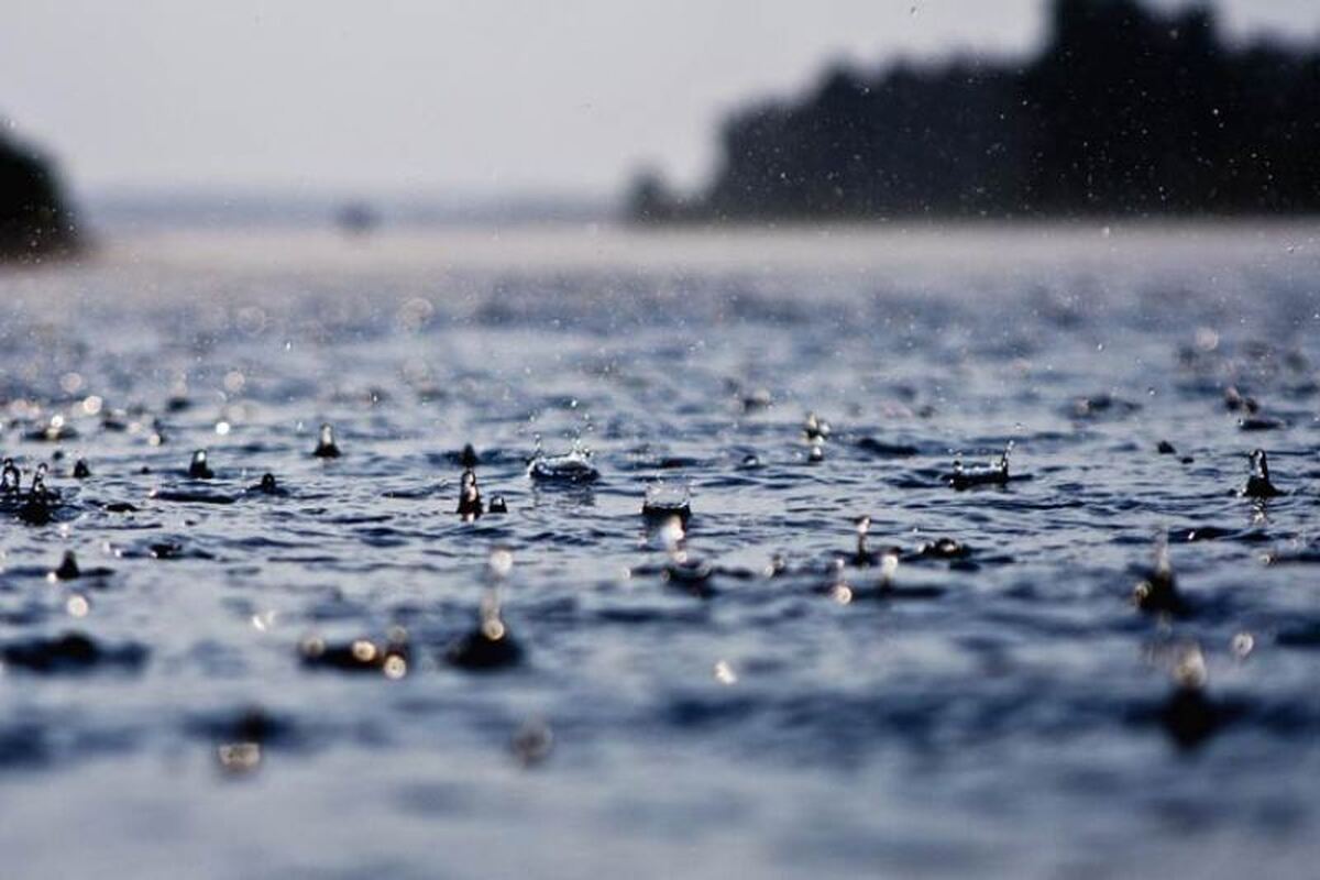 فال حافظ دوشنبه ۲۰ اسفند ۱۴۰۳؛ در نظربازی ما بی‌خبران حیرانند....