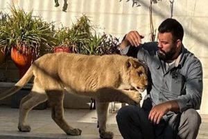 امیر علی‌اکبری: توله شیری که نگه‌داری می‌کردم، دزدگیر خانۀ پدرم بود!