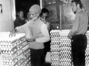 بحران تخممرغ در تهران: کمبود به بازار سیاه کشید! +عکس و جزئیات