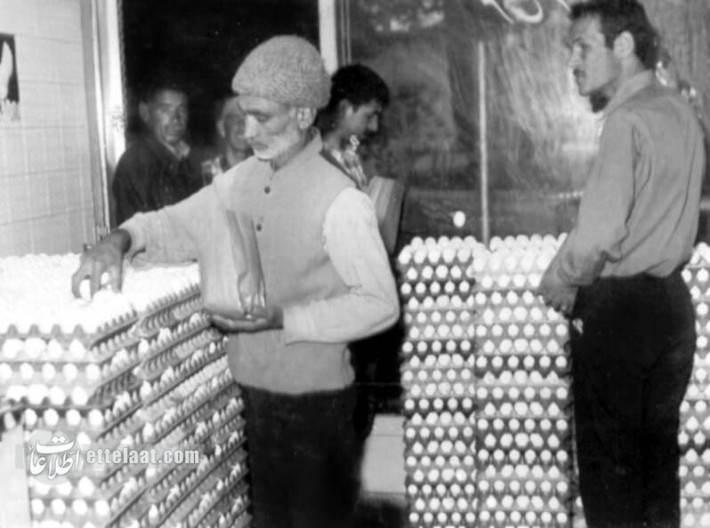 بحران تخم‌مرغ در تهران: کمبود به بازار سیاه کشید! +عکس و جزئیات