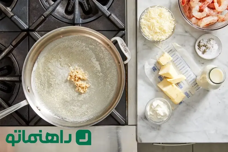 میگو 2 میگو 2