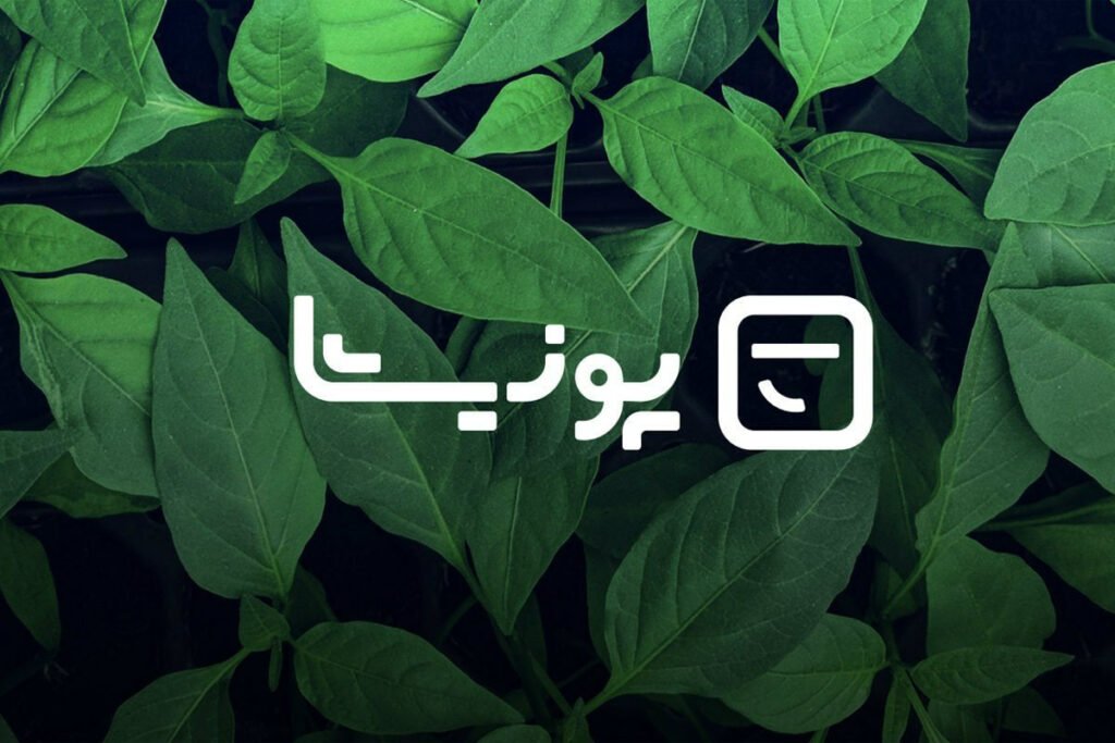 معرفی پونیشا معرفی پونیشا