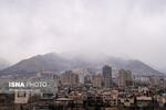 (تصاویر) جشنواره فجر در نیمه راه؛ نشستهای داغ و فیلمهای بحثبرانگیز در روز هفتم (تصاویر) جشنواره فجر در نیمه راه؛ نشستهای داغ و فیلمهای بحثبرانگیز در روز هفتم