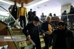 (تصاویر) جشنواره فجر در نیمه راه؛ نشستهای داغ و فیلمهای بحثبرانگیز در روز هفتم (تصاویر) جشنواره فجر در نیمه راه؛ نشستهای داغ و فیلمهای بحثبرانگیز در روز هفتم