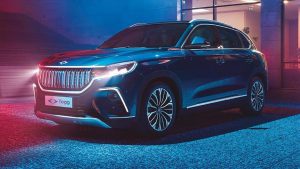 توگ در صدر بازار خودروهای الکتریکی ترکیه، تسلا فروش نداشت