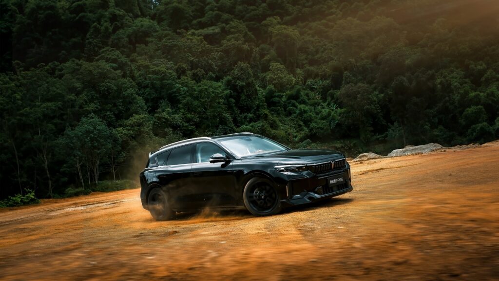 قیمت وویا فری