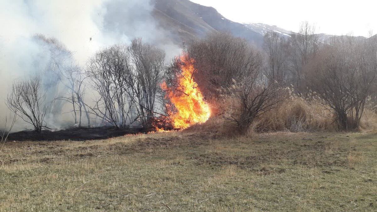 گزارش چندین مورد آتش‌سوزی در جنگل‌های بلده نور در روز طبیعت