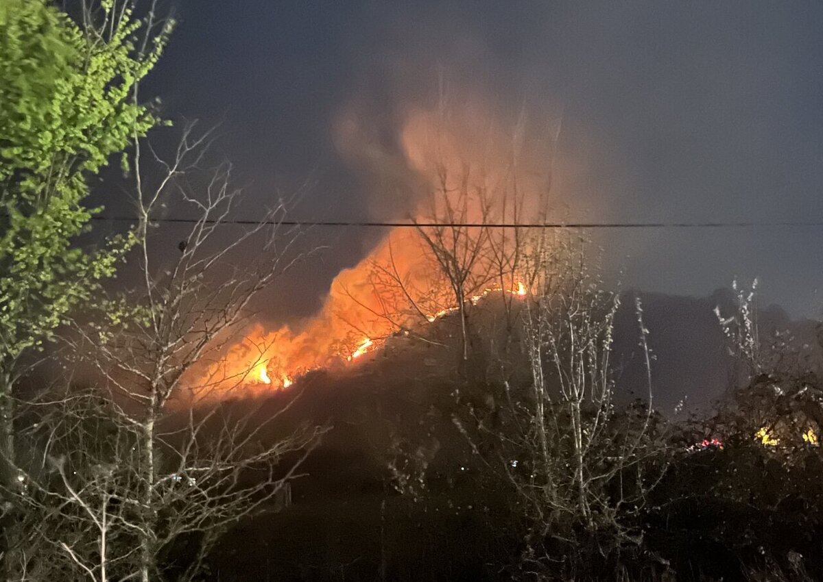 آخرین جزئیات از آتش سوزی تالابی در خوزستان