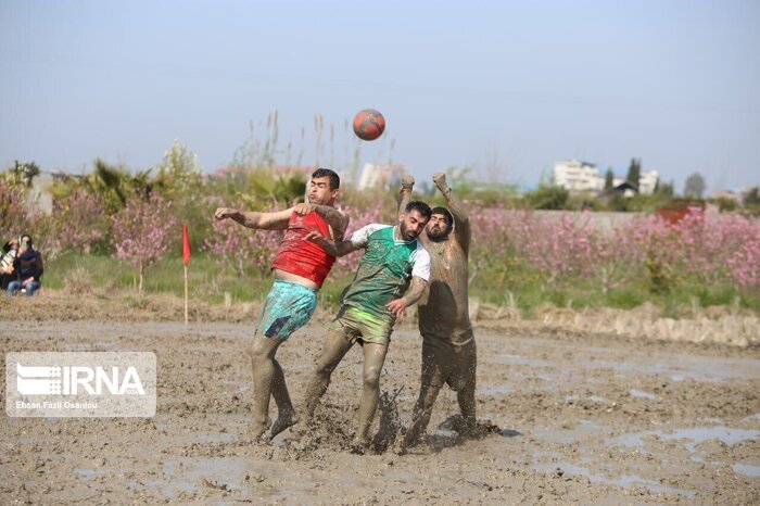 ال کلاسیکو فوتشالی در شالیزار‌های دامیر