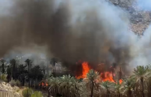 زخم دوباره آتش بر پیکر باغ‌های کهنسال هرمزگان