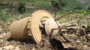 شهادت یک افسر ارتش در مرز سومار استان کرمانشاه