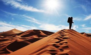 جزئیات مرگ دردناک «مصطفی فرشی» پزشک اطفال در کویر