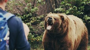 حمله خرس به چوپان در کوههای کهگیلویه و بویراحمد