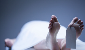 مرگ اسرارآمیز ۶ نفر در خانه‌باغ