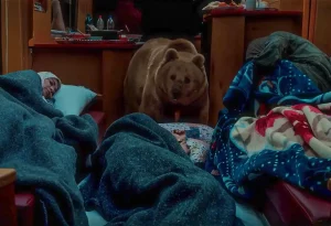 «پایتخت ۷» حیوانآزاری کرد؟