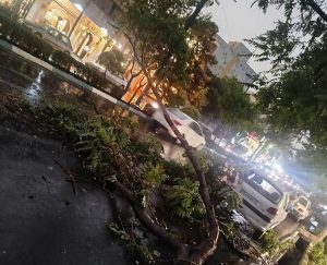 طوفان در تهران ۶ زخمی برجا گذاشت