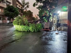 طوفان در تهران یک کشته و ٢۴ نفر زخمی برجا گذاشت