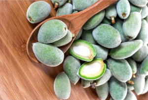 کوکوی چغاله بادام؛ با دستور پخت علی اکبرخان کاشی