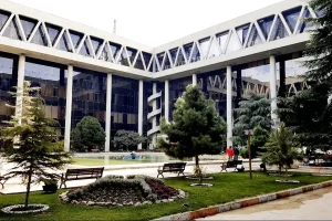 دسته گل صداوسیما ادامه دارد؛ موسیقی شاد در سوگ ملی؟