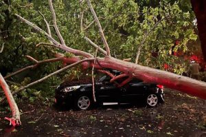 طوفان کار دست تهرانی‌ها داد/ آمار مصدومان امشب