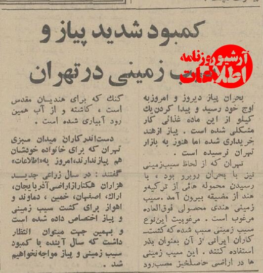 وقتی پیاز در تهران نایاب شد! وقتی پیاز در تهران نایاب شد!