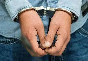 دزد حرفهای از خانه همسایههایش هم سرقت کرد
