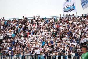 گربه سیاه سپاهان مشخص شد