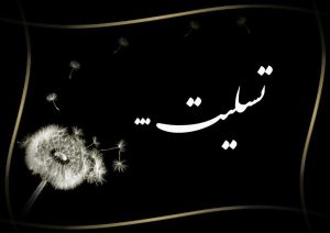 درگذشت ناگوار دروازه‌بان ۱۱ ساله و پرسپولیسی