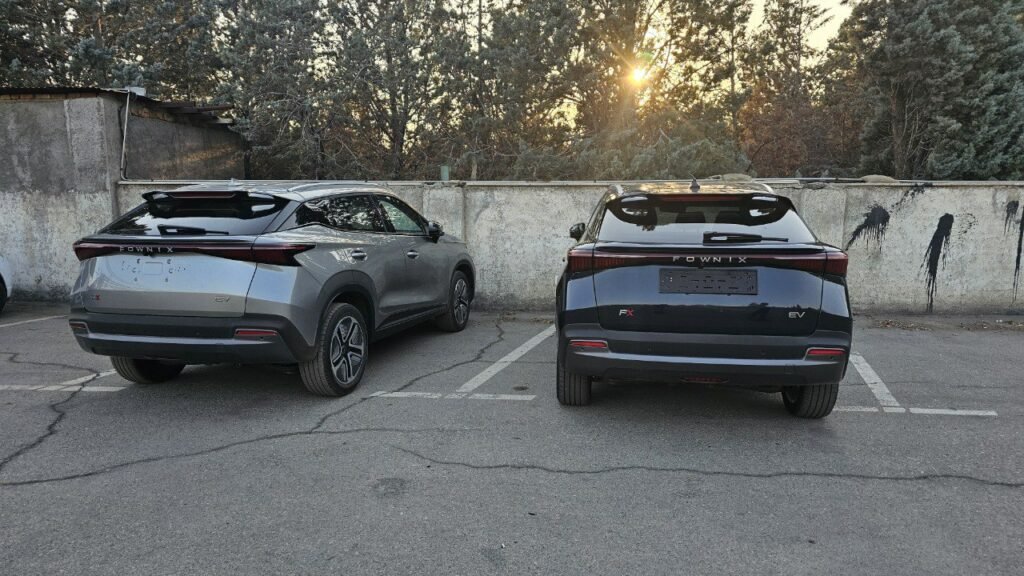 قیمت فونیکس NEV قیمت فونیکس NEV