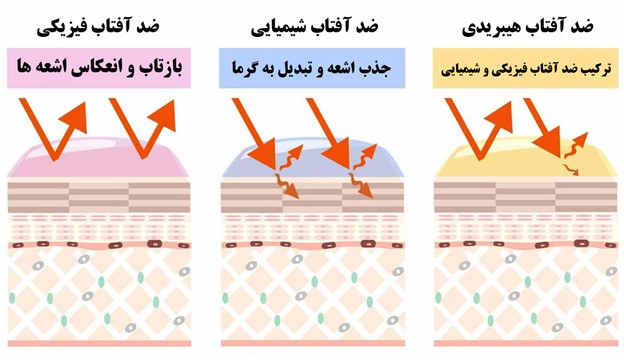 تفاوت ضد آفتاب فیزیکی و شیمیایی به همراه مزایا و معایب