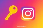 BETA-FOLLOW