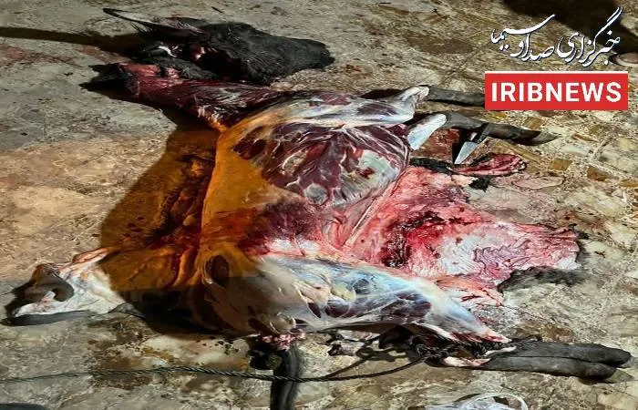 دستگیری عوامل این رستوران معروف که از گوشت الاغ استفاده میکردند+ عکس وحشتناک دستگیری عوامل این رستوران معروف که از گوشت الاغ استفاده میکردند+ عکس وحشتناک