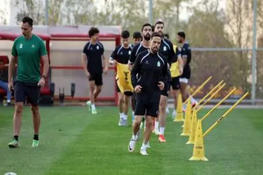 D8A7D984D988D8ADD8AFD8A7D8AA