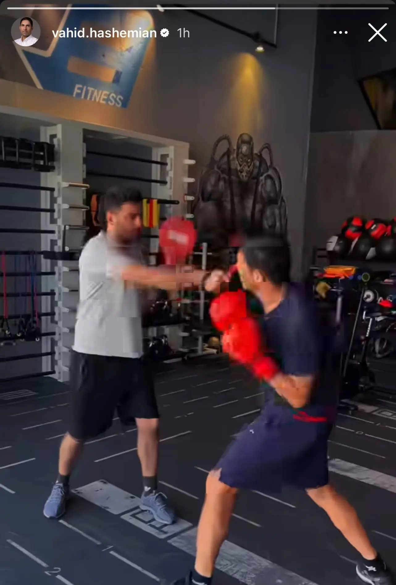 باورنکردنی: وحید هاشمیان در رینگ بوکس! باورنکردنی: وحید هاشمیان در رینگ بوکس!