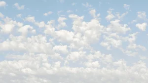 رنگ سال ۲۰۲۶ رسماً اعلام شد