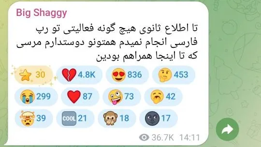 متن خداحافظی بیگ شگی متن خداحافظی بیگ شگی