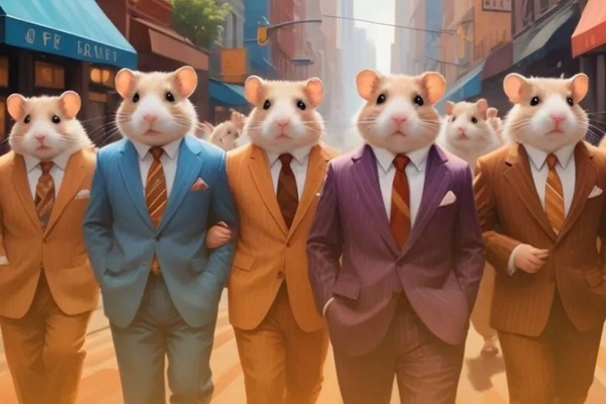 daily cipher hamster kombat چیست+کدهای روزانه