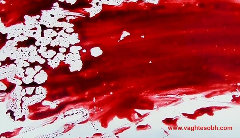 بازیگر محبوب سریال ایلجیما یک استاد دانشگاه متجاوز بود!