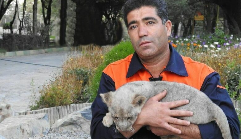 ویدئویی از مردی در باغ وحش اراک که طعمه شیرها شد