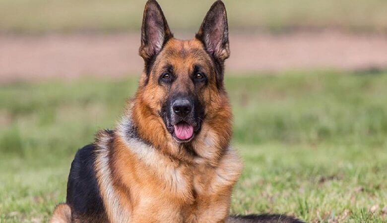 خبر مهم درباره این زن که لایوهای غیراخلاقی و ناجور منتشر می‌کرد