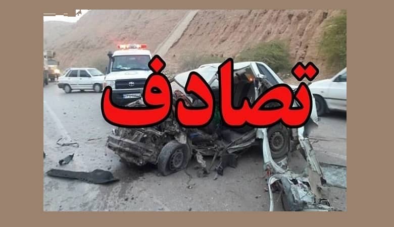 ویدیو/ دفاع شیر ماده از مردی که او را بزرگ کرد در مقابل شیر نر!