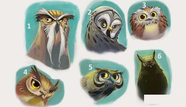 جغد مورد علاقه شما چه چیزی درباره‌تان می‌گوید؟