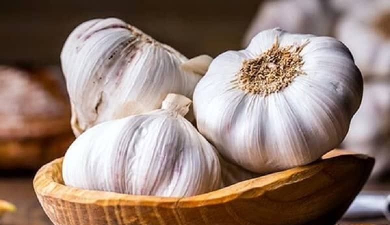 جواب سوال امروز timefarm تایم فارم 2 مرداد 1403 سه شنبه