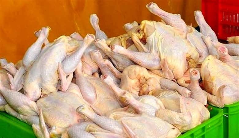 کارت های امروز همستر کمبات 2 مرداد 1403 سه شنبه/ آموزش باز کردن کارت جدید مینی گیم